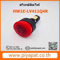 HW1E -LV411Q4R รูปโชว์